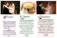 Wedding packages final