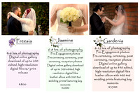 Wedding packages revised