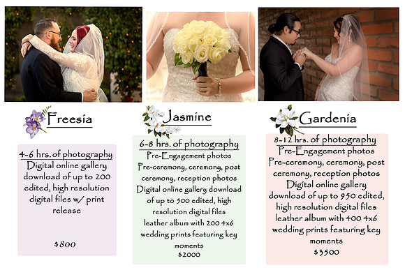 Wedding packages revised